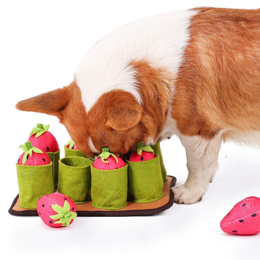 Almohadilla De Trabajo para Alimentación De Nariz De Fresa para Perros Y Mascotas, Juguete Educativo Interactivo para Perros Lento Y