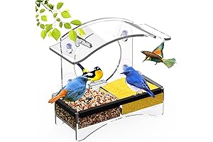 Window Bird Perch: Witness Avian Delights from Your Window