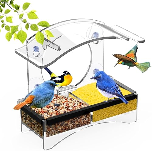 Comedero para pájaros con ventosas fuertes - Casa transparente para pájaros para gatos, niños y ancianos - Poliuretano