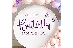 A Little Butterfly Is On The Way! - Butterfly Baby Shower Backdrop Decal