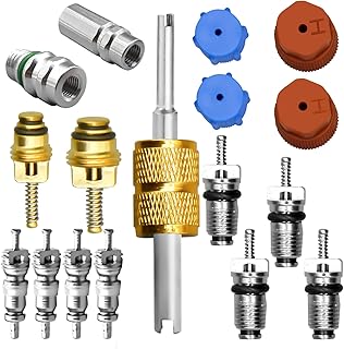 17 Pcs Air Conditioning Valve Core Kit, R12 To R134a Conversion Kit R134a Valve Core A/C Refrigeration System, AC Schrader Valve Kit AC Valve Core Removal Tool AC Service Port Seal Cap Valve Kit