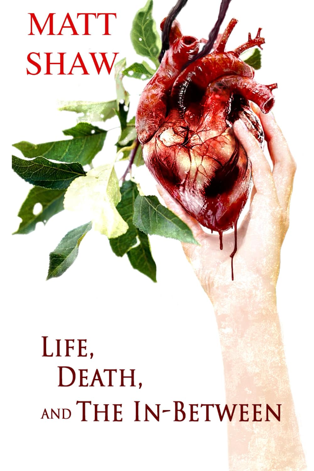 Life, Death and the In-between