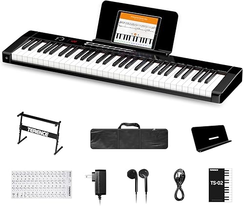 TERENCE Teclado de piano de 61 teclas, piano digital electrónico con teclas semipesadas, pantalla LCD, soporte para piano, fuente de alimentación,