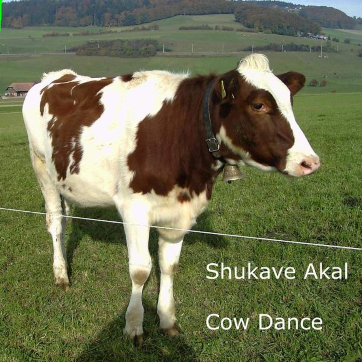 Shukave Akal