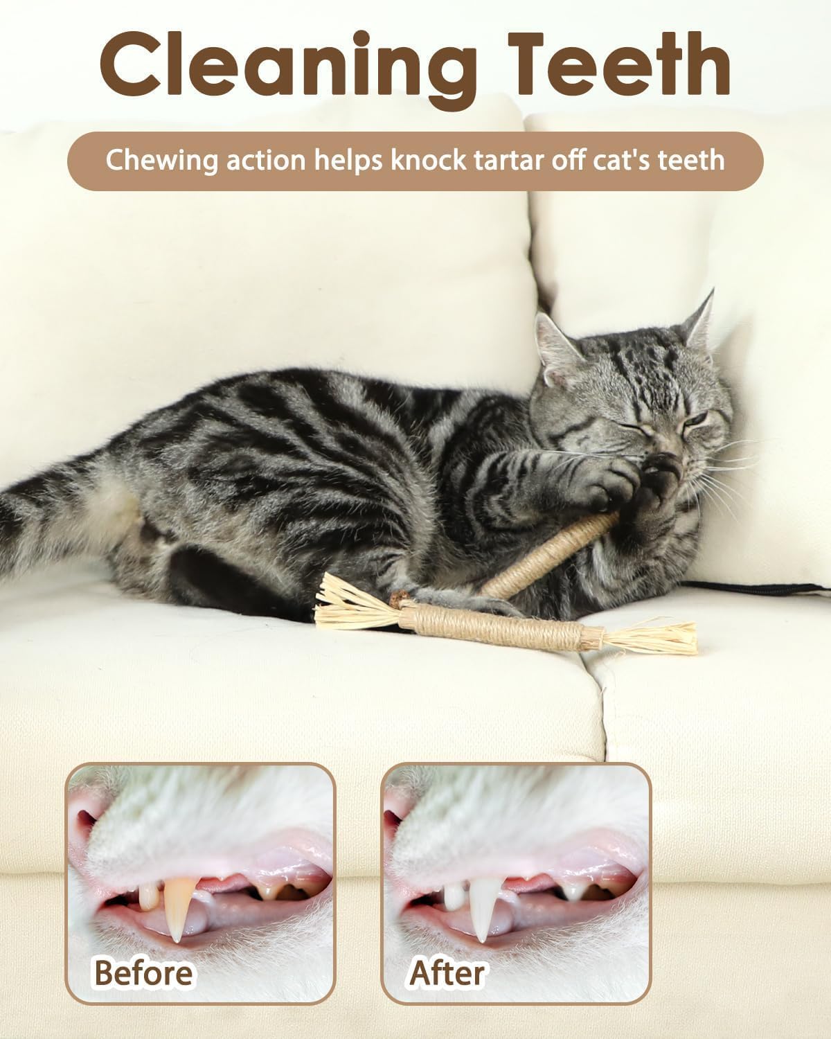MS PET HOUSE Silvervine Sticks Cat Toys, 2 Pack Natural Cat Chew Stick Toy for Cats Dental Care Teeth Cleaning, Matatabi Catnip Treat Toys for Indoor Cat Kitten, Catnip Toys, Suitable for All Cats 3