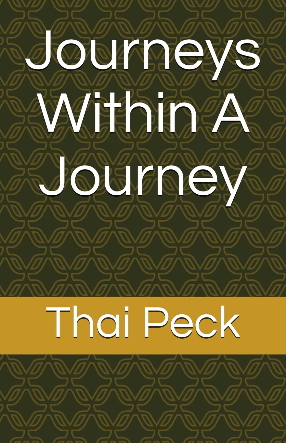 Journeys Within A Journey