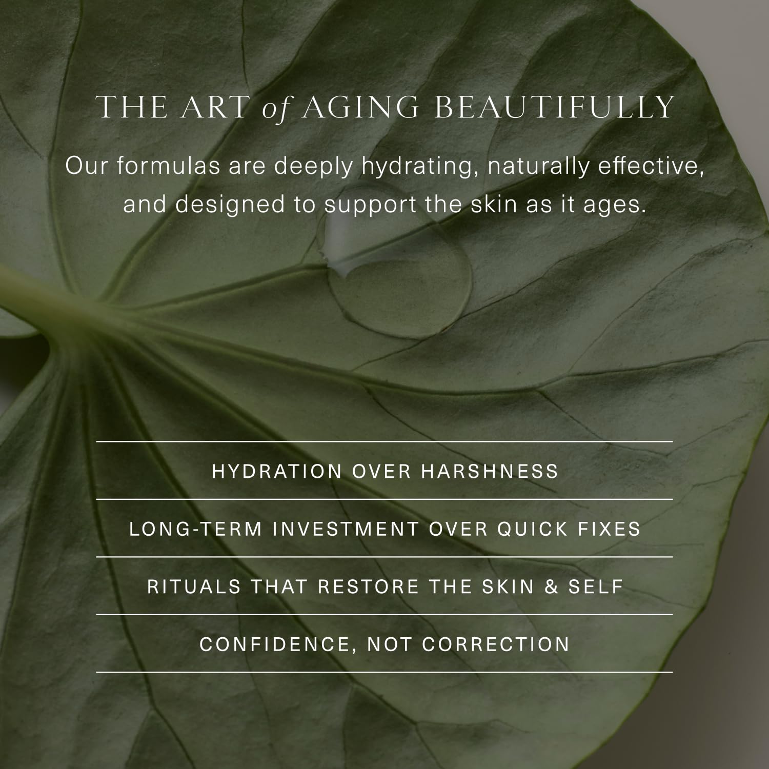Oak Essentials Dew Body Butter Hydrating Moisturizer