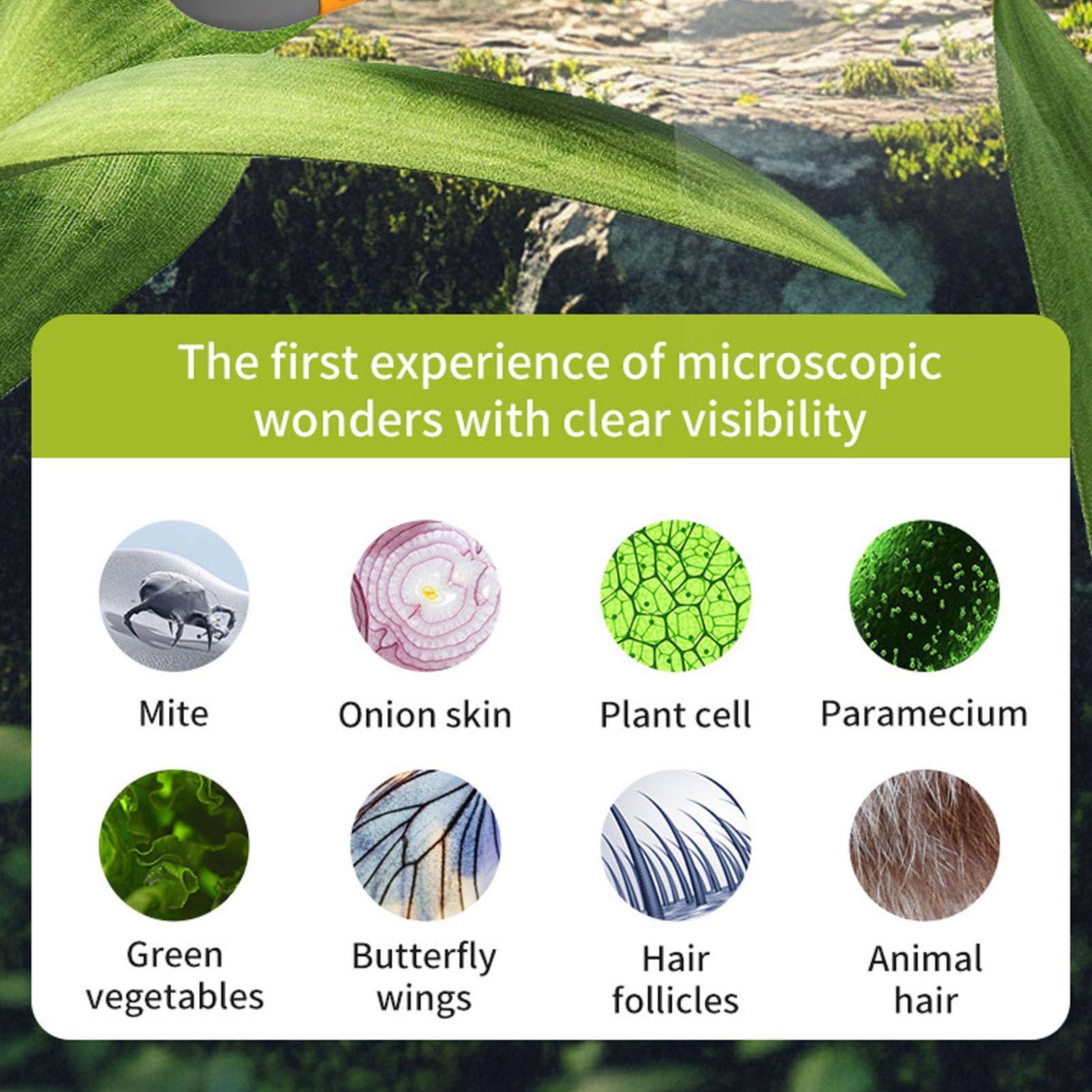 Generic Microscopio con Fotocamera 1000X, Microscopio Portatile con Ingrandimento 100-1000x, con Schermo da 2 Pollici con Funzione Foto Video e Diapositive Incluse per l'educazione Scientifica e