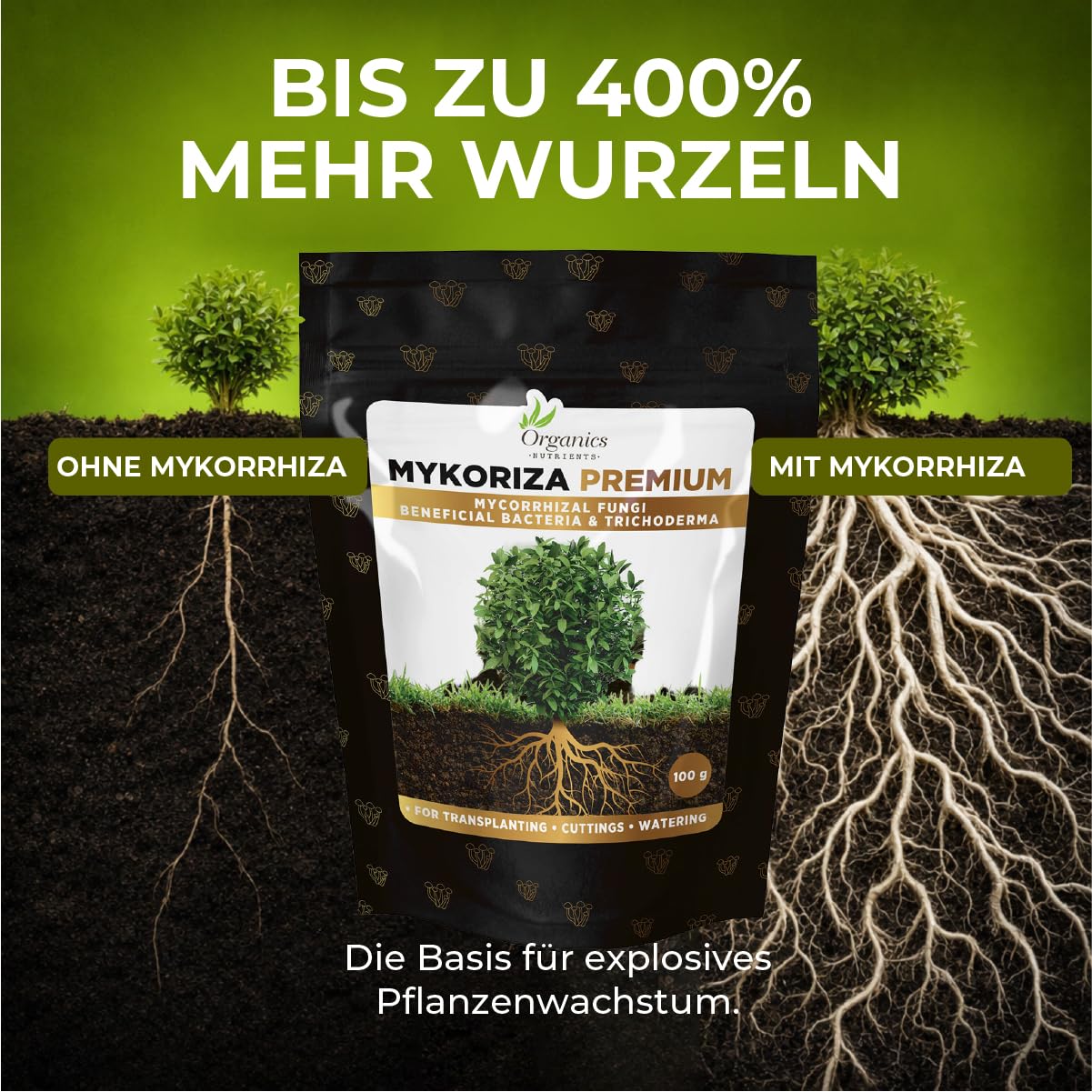 Mykoriza Premium, Organic endo&ecto mycorrhizae, 100g