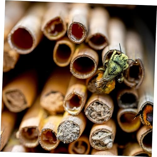 Miniatura 4 de Toddmomy 250 Pcs Mason Bee Tube Straws Coffee Bee Hive Nesting Tubes for Bee Mason Bee Supplies Reed Bee Tube Props Bees House Tubes Ground Feeders