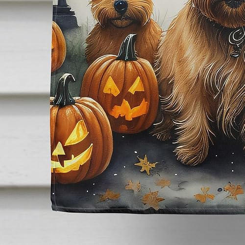 Miniatura 222 de Caroline's Treasures DAC2011GF - Bandera decorativa para jardín de Halloween con diseño de beagle para jardín, jardín, jardín, jardín, multicolor