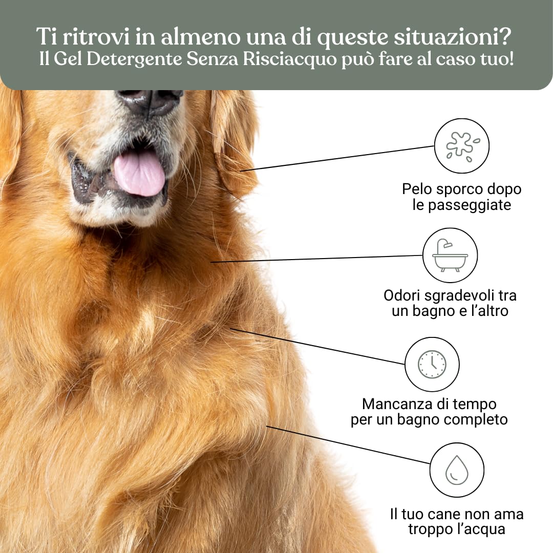 Bau Cosmesi Gel Detergente Senza Risciacquo, Shampoo Secco per Cani, Igienizzante e Idratante - Senza Parabeni e Siliconi, Naturale e Bio con Aloe Vera - Dermatologico, 250 ml