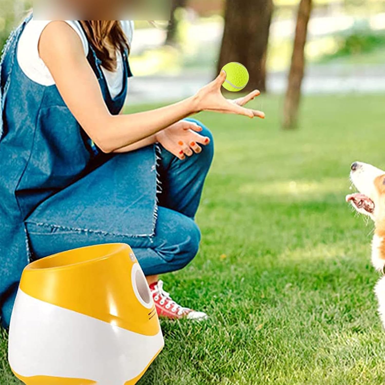 Genérico Automatic Ball for Dogs - Interactive Pet Machine - Interactive Ball for Pets - for Outdoor House Family Play Exercise and