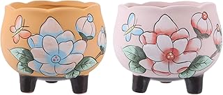 Hemoton Hoog kwaliteit 2 unidades, pintadas à mão, suculento, cacto, bonsai, vaso, vaso, vaso, vaso, flor, recipiente