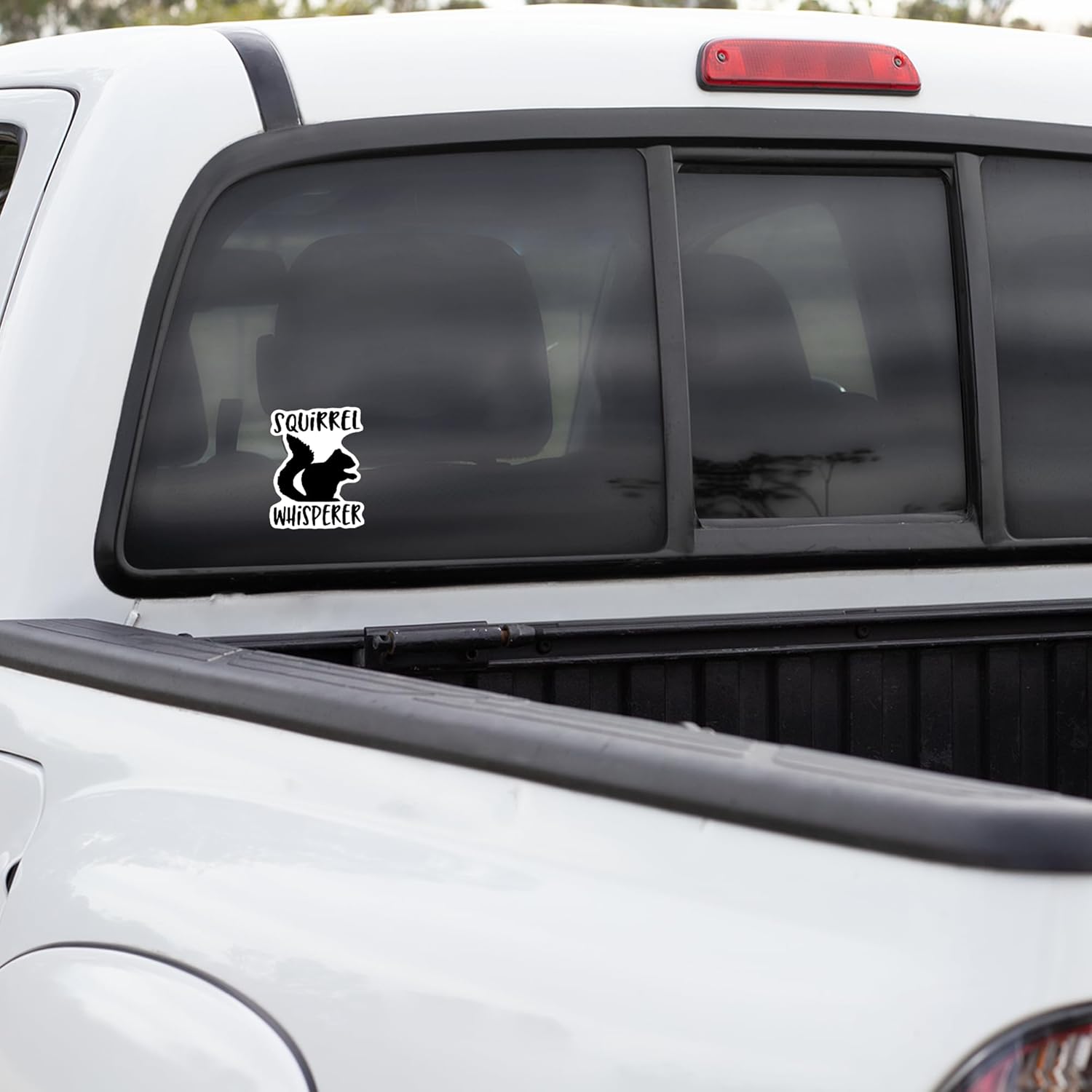Squirrel Whisperer Vinyl Decal Sticker | Cars Trucks Vans SUVs Windows Walls Cups Laptops | Black with White Background | 5.5 Inch | KCD2379 - Image 6