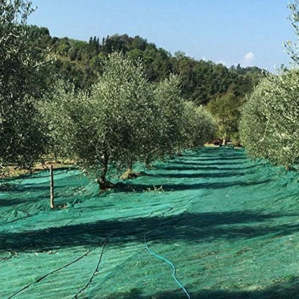 Filet de récolte Olive léger antifiche Oeillets renforcés haute résistance facile à utiliser et à entretenir - 12 x 12 m