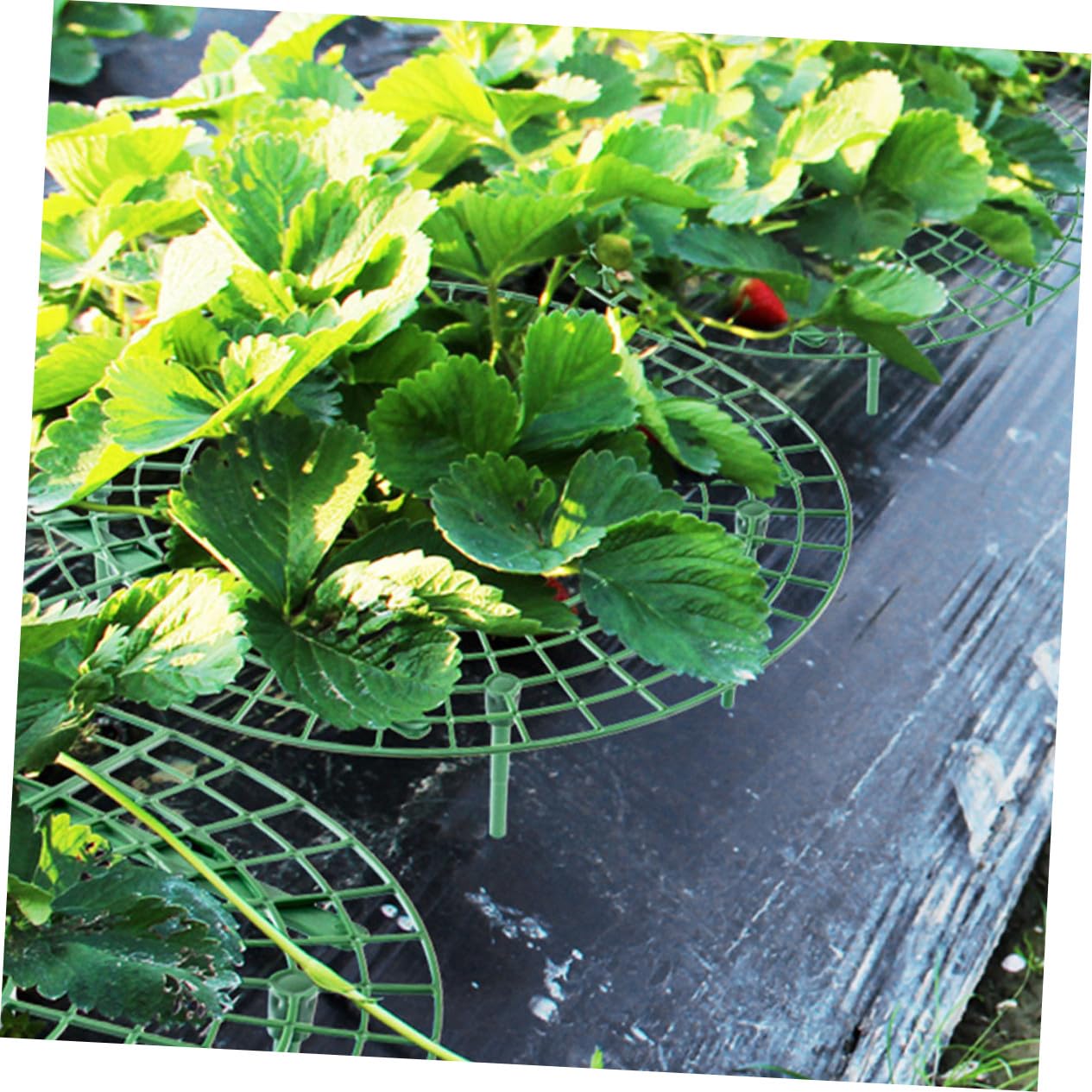 Support à Fraisiers en Plastique Vert 12pcs Cadre d'escalade Créatif pour Balcon Jardin Potager Protection et Maintien des Plants de Fraisiers