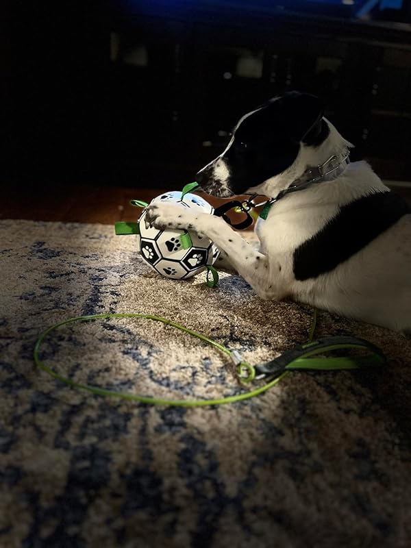 Pet Supplies QDAN Dog Toys Dog Balls, World Cup Dog Soccer Ball with Straps, Dog Birthday, Herding Ball, Durable Balls for Small Medium Pet, Puppy Outdoor Toy (6 Inch) : Review Image
