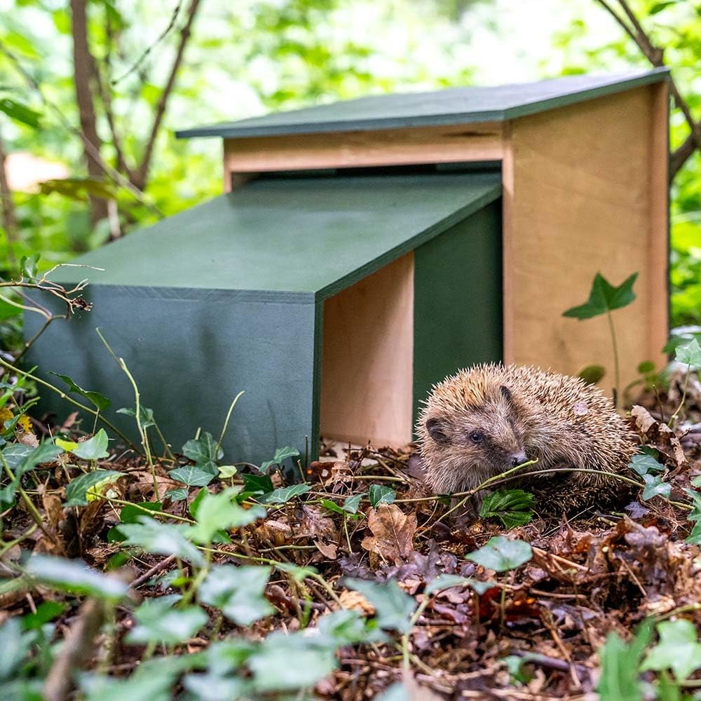 CJ Wildlife Igelhaus Winterfest – Igelfutterhaus aus FSC-Holz Grün – wetterfestes Igel Futterhaus mit Innentunnel und Belüftung – Gebrauchsfertig, XL Größe