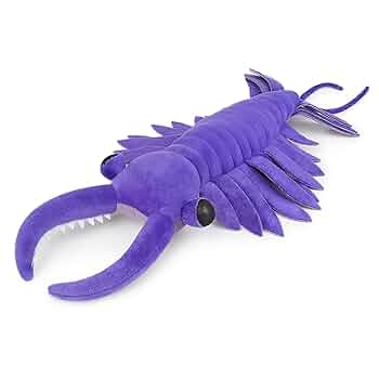 ♾️超稀少!! アノマロカリス＆ウミサソリのぬいぐるみ（2体）＆ちびっこ画伯作品 61L7sqrnN+L._UF894,1000_QL80_.jpg