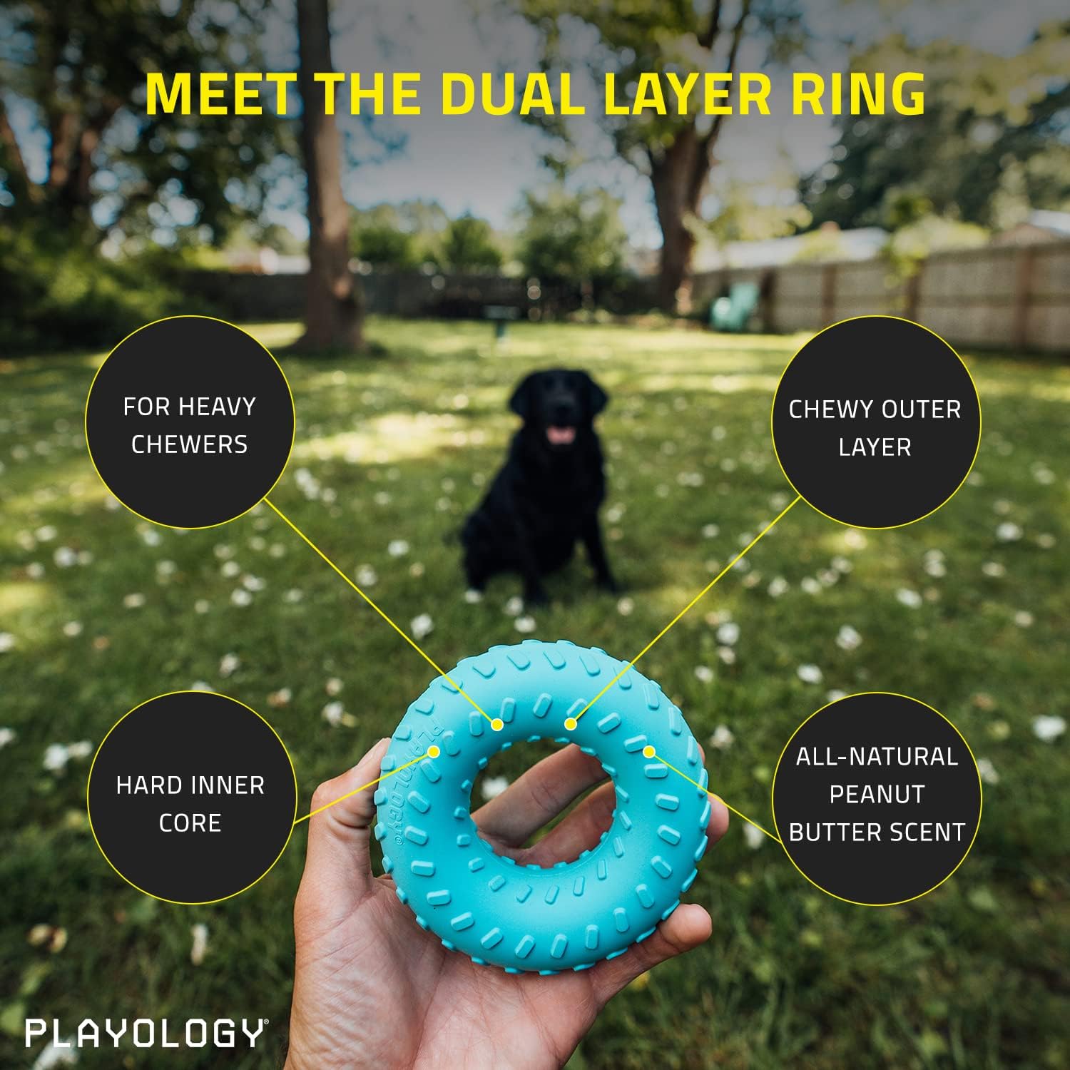 Playology Dual Layer Ring Toy, for Medium Dogs (15-35lbs) - for Heaviest Chewers - Engaging All-Natural Peanut Butter Scented Toy - Non-Toxic Materials