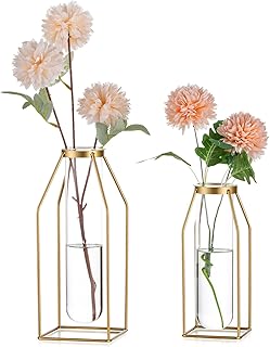 Sziqiqi Metal Flower Vase Table Decor - Gold Frame Vase with Glass Test ...