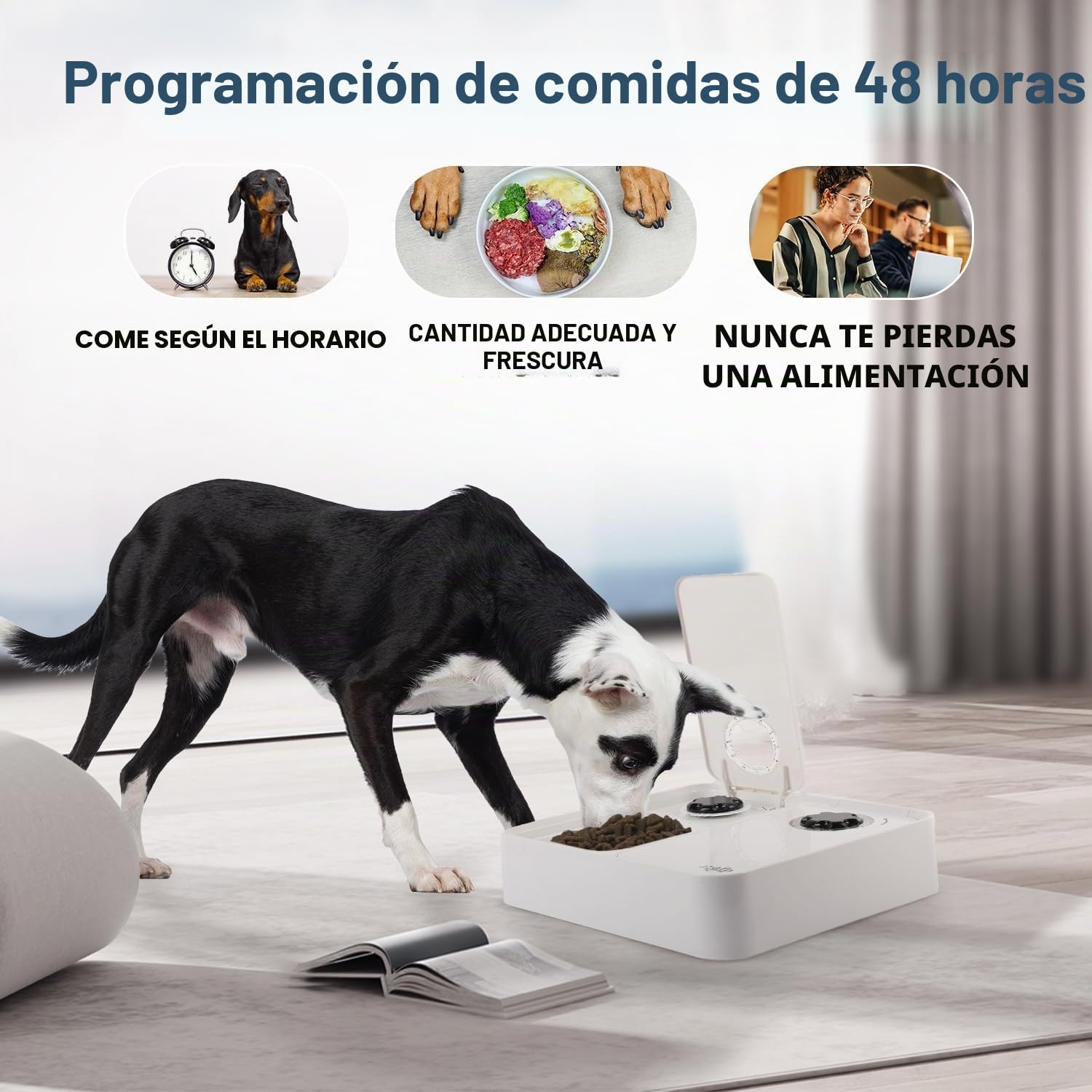 ALL FOR PAWS Comedero automático para gatos y perros de 2 comidas - Dispensador de alimentos secos y húmedos, temporizador de 48 horas, paquete de hielo incluido, apto para lavavajillas, blanco