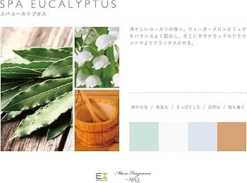 71YaBcl2MqL._AC_UF350,