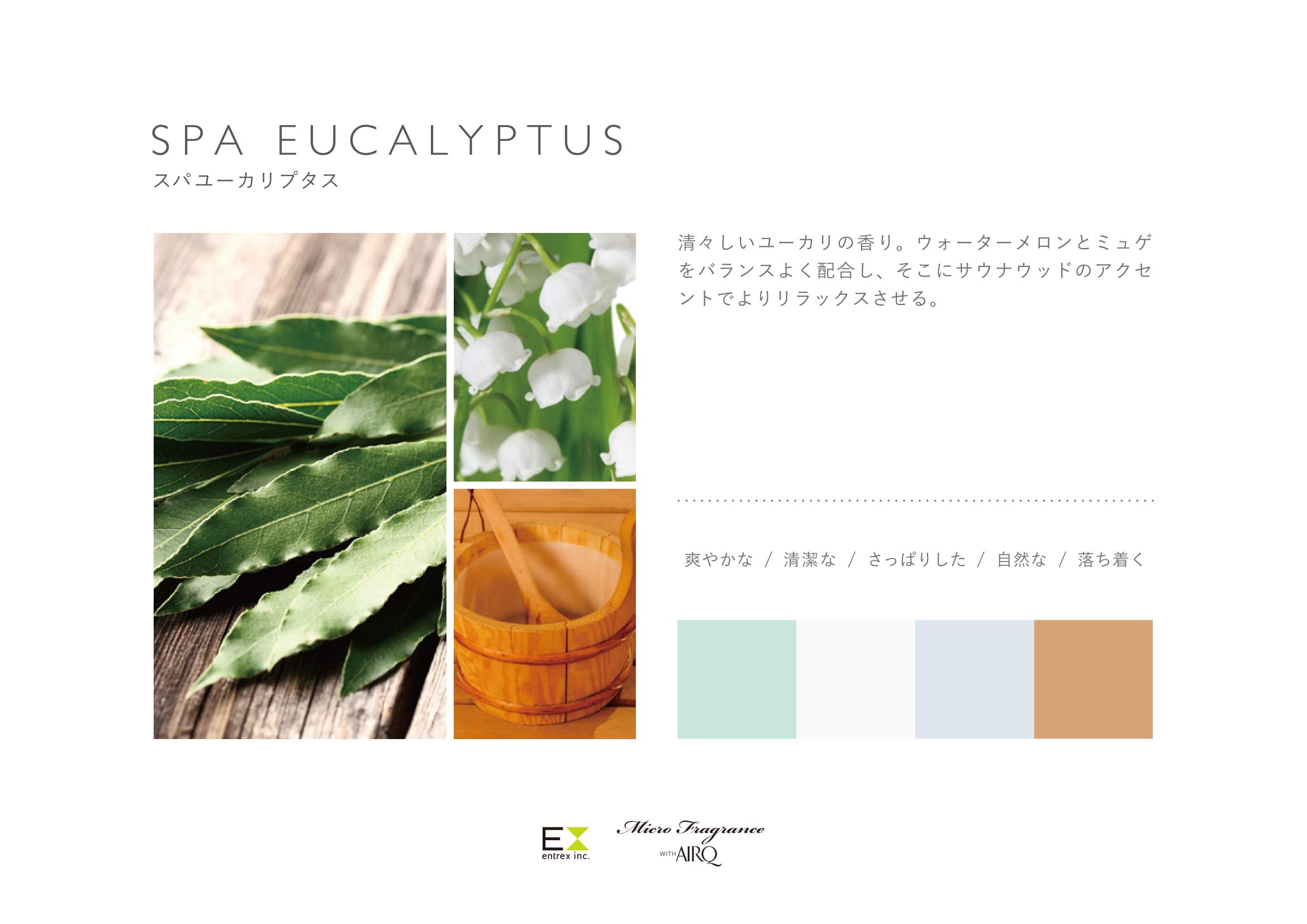 スパユーカリプタス entre square（アントレスクエア） PROLITEC/AirQ160専用カートリッジ