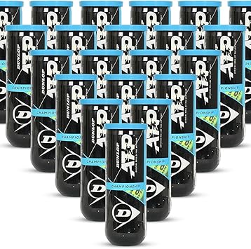 DUNLOP ATP Extra Duty Tennis Balls Case