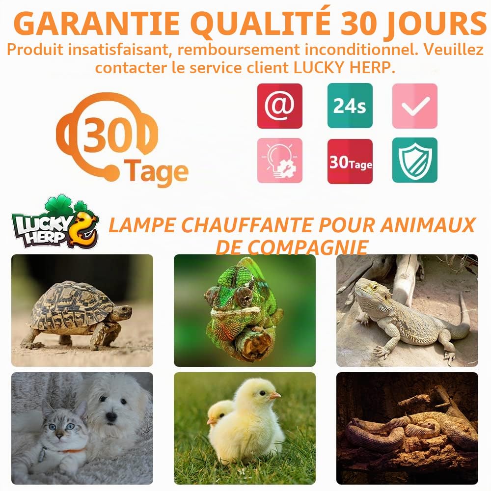 LUCKY HERP Lot de 2 Lampes Chauffantes 50 W en Céramique pour Reptiles, Tortues, Terrarium, Agames Barbus, Poulet, Chien