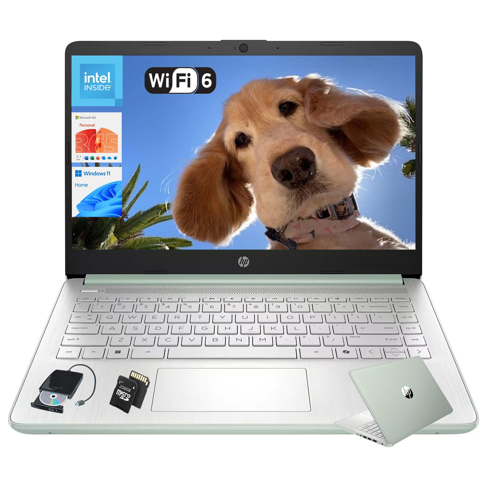 Amazon.com: HP 14