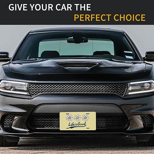 Miniatura 4 de Life is So Good SND We Love Life - Placa de matrícula decorativa de aluminio, divertida placa de metal para automóvil de 6 x 12 pulgadas, cubierta