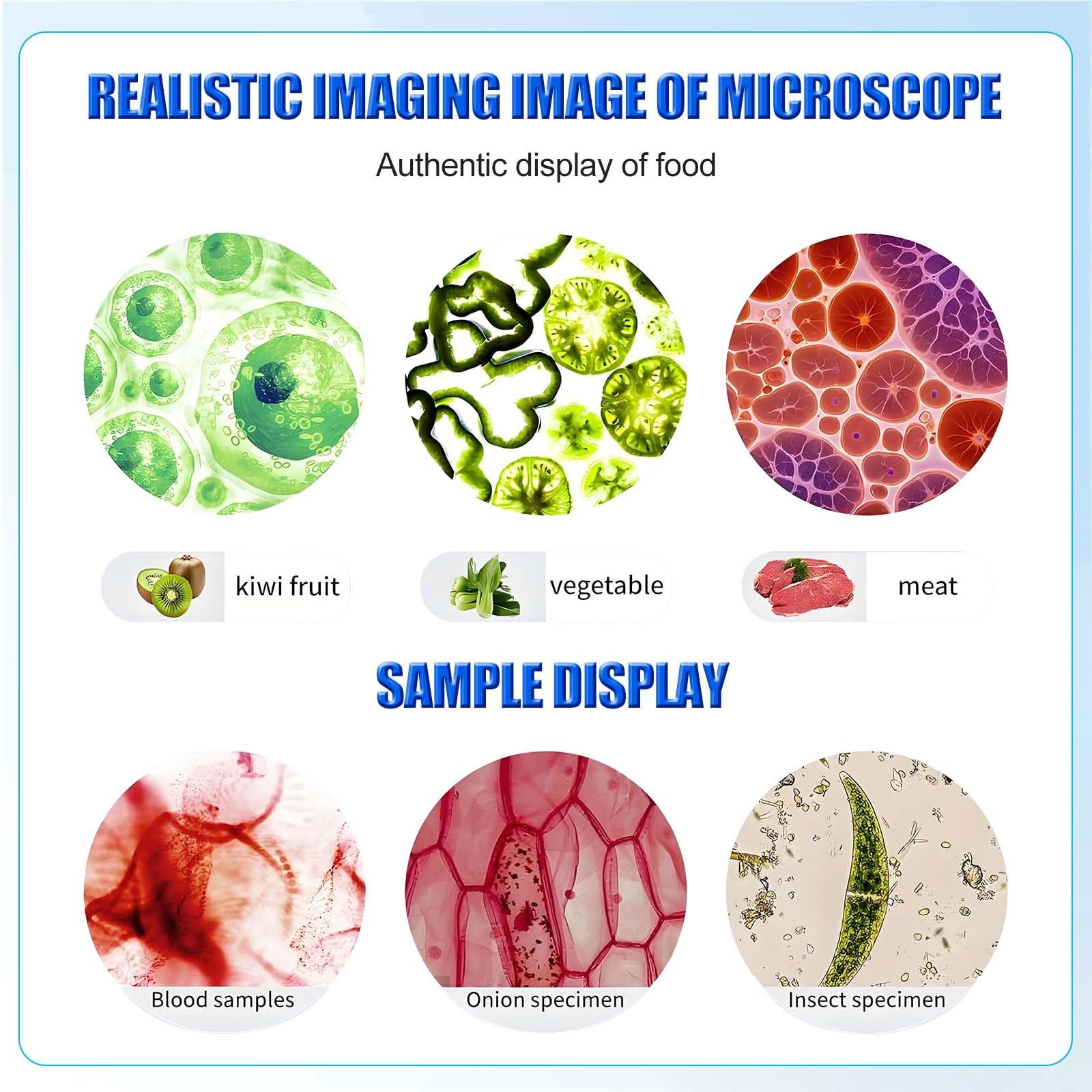 Microscopio binocular de laboratorio con pantalla HD y salida USB, ideal para universidad, escuela de medicina y aplicaciones de enseñanza de investigación