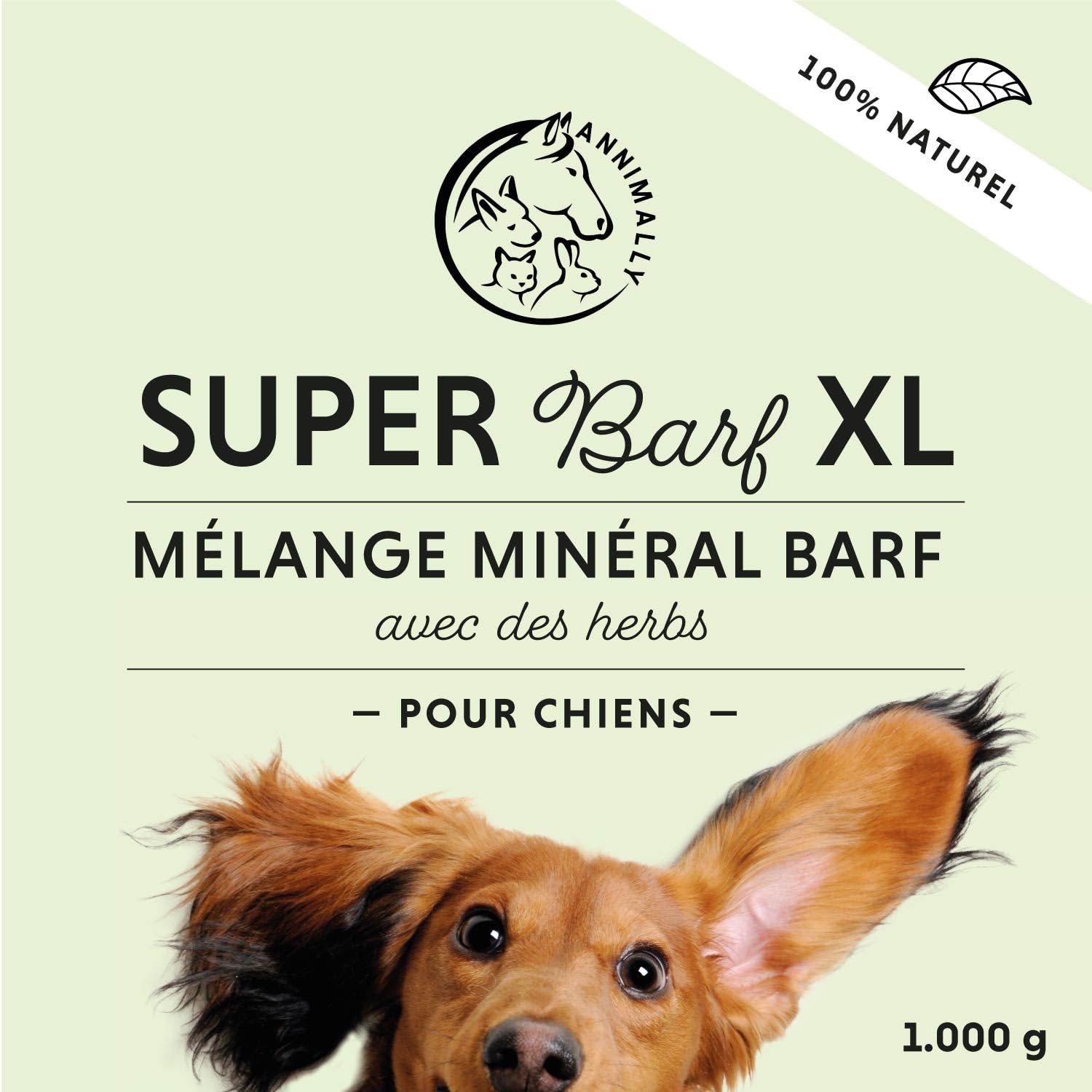 Annimally Barf Poudre Complète pour Chiens 1 kg, Mélange de Vitamines & Minéraux pour Une Nutrition optimale - Complément Alimentaire pour Chiens avec Légumes, Fruits et Vitamines