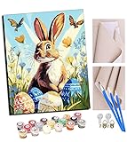 TUDOUTU Malen nach Zahlen Kits Art für Erwachsene mit Pinsel und Acrylpigment DIY Digitale Leinwand für Erwachsene Anfänger-Osterhase und Frühlingslied 16 * 20 Zoll Mit Rahmen