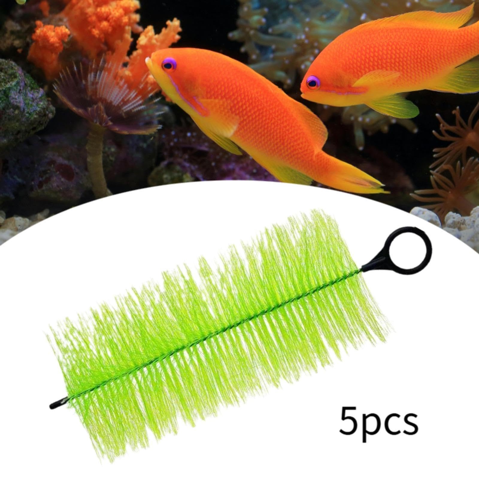 F Fityle 5 Pezzi Spazzole per filtri per laghetti per Pesci Acquario Acqua Giardino Stagno Skimmer Facile da Usare Accessori per laghetti Spazzola per la, 40 cm