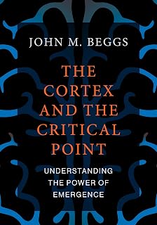 The Cortex and the Critical Point: Understanding t