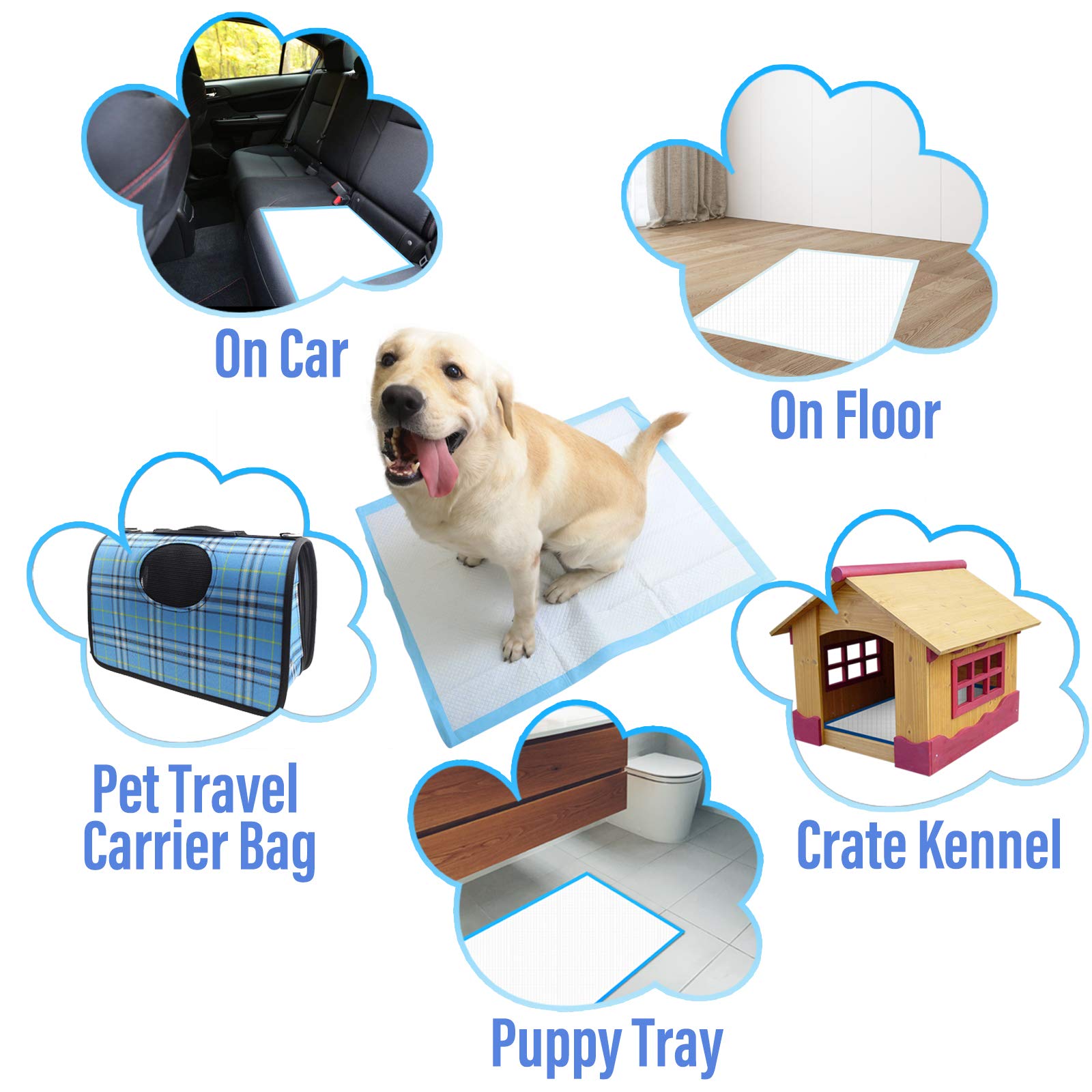 Cute Paws XL 28"x34" 30 Count Thicker Heavy Absorbency Pet Training Puppy Pee Pads - Extra Large Disposable Polymer Quick Dry No Leaking Pee Pads for Dogs, Cats, Rabbits and Other House Training Pets 3