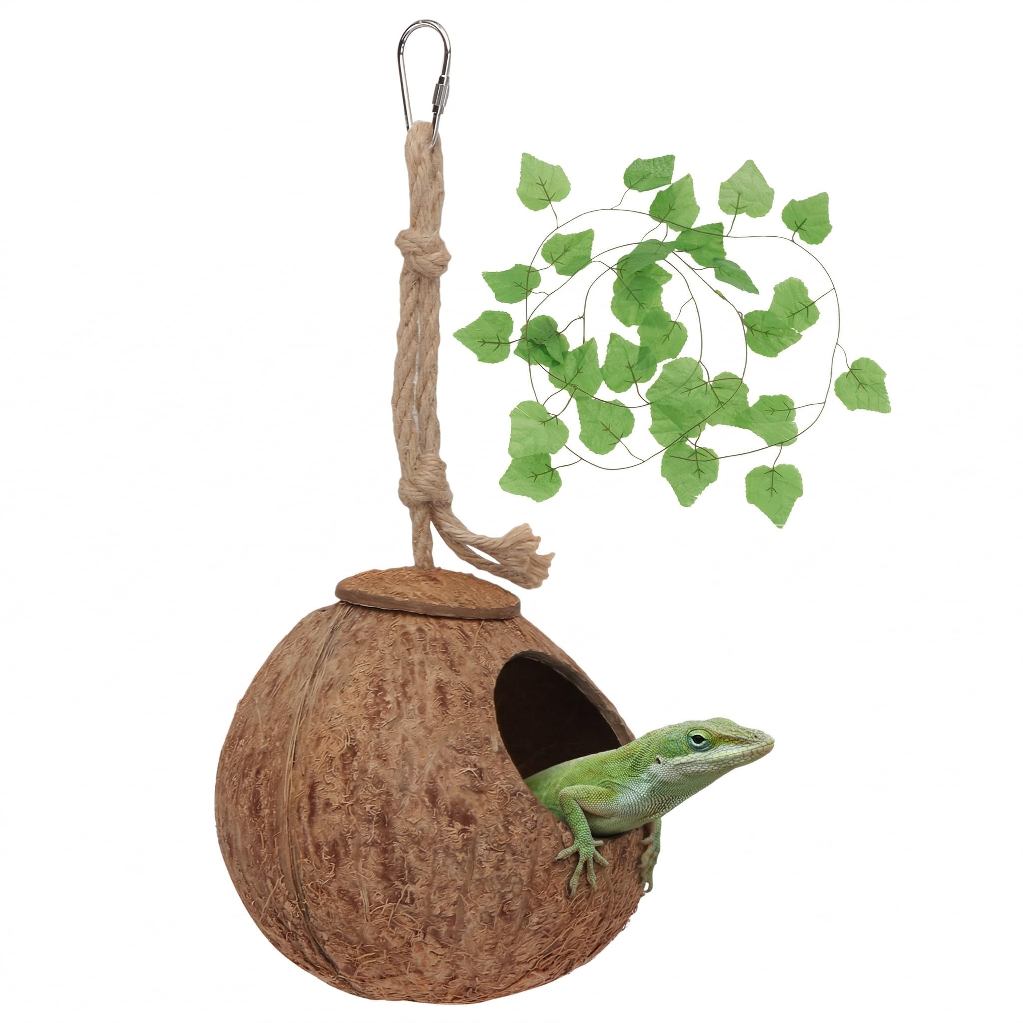 SUPVOX 2-Piece Natural Coconut Reptile Hideout with Bendable Climbing Vine - Hanging Nesting House for Crested Geckos, Lizards & Tree Frogs - Tropical Vivarium Decor & Enrichment Habitat Accessory