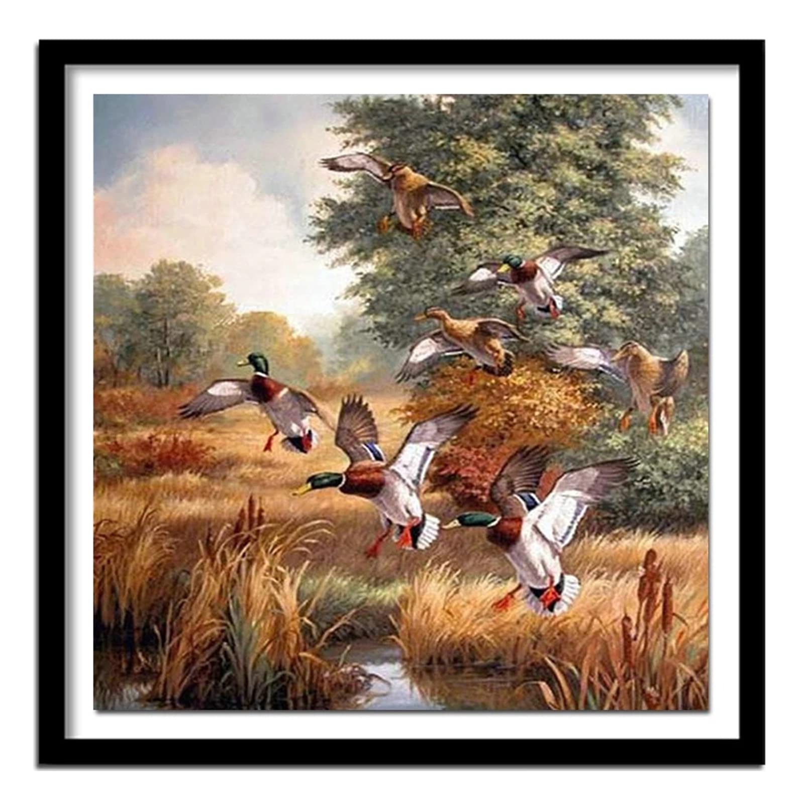 Diamond Painting 5D Anatra Selvatica - Kit Completo 30x40 Cm - Attività Relax Per Adulti E Bambini - Foto 11