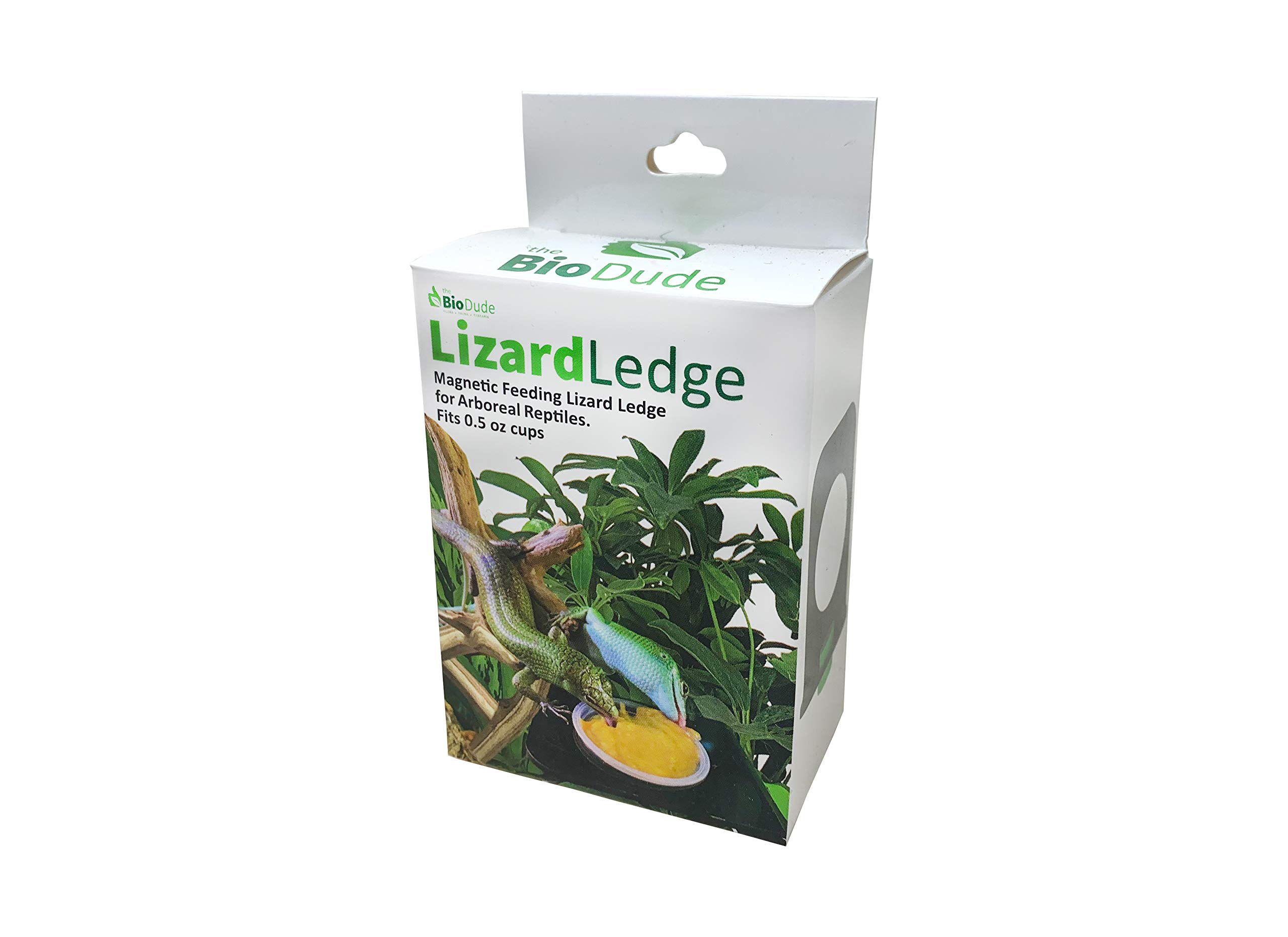 The Bio Dude Magnetic Lizard Ledge Green 0.5 oz - Feeding Ledge for Geckos and Lizards