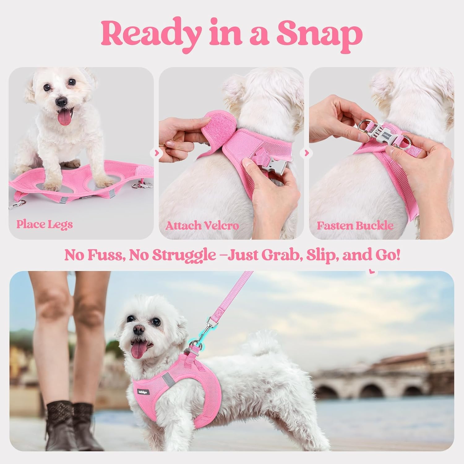 rabbitgoo Dog Harness Small Sized and Leash Set, Step in Soft Light Puppy Vest, Breathable Mesh Pet Harness, Reflective for Safe Easy Walking, Light Pink M