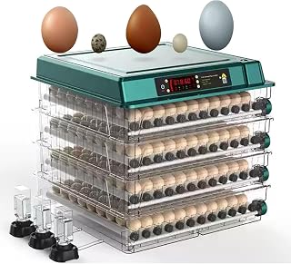Automatic Egg Incubator with Digital Humidity Control & 360° View Window - Quiet & Energy Efficient for Chicken, Duck, Quail Eggs