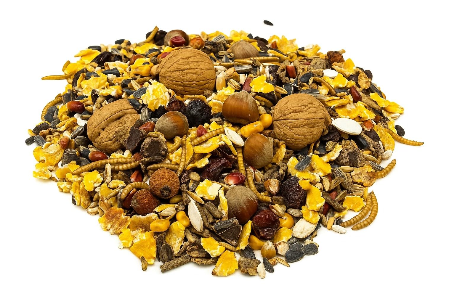 10 kg Artgerechtes Eichhörnchenfutter Ganzjahresfutter Premium Mix mit Walnüssen, Haselnüssen, Sonnenblumenkernen und Mehlwürmer für Nager Nagerfutter