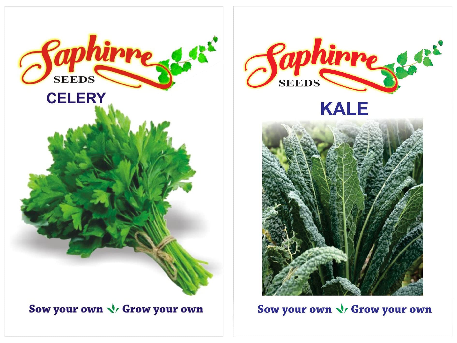 Saphirre Seeds Celery , Kale F1 Hybrid Flower Seed Pack of 1