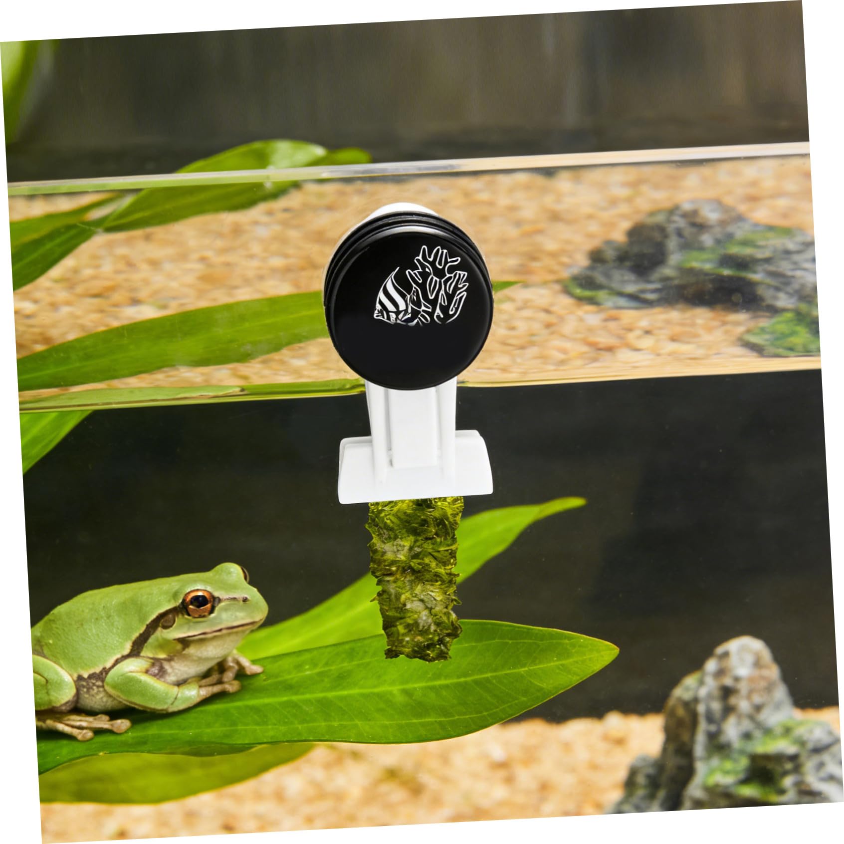 Toddmomy Clip per pesci, verdure, alghe e piante: clip per mangiatoia per pesci, morsetto per mangiatoia per rossi, strumento per l'alimentazione dell'acquario per animali acquatici con