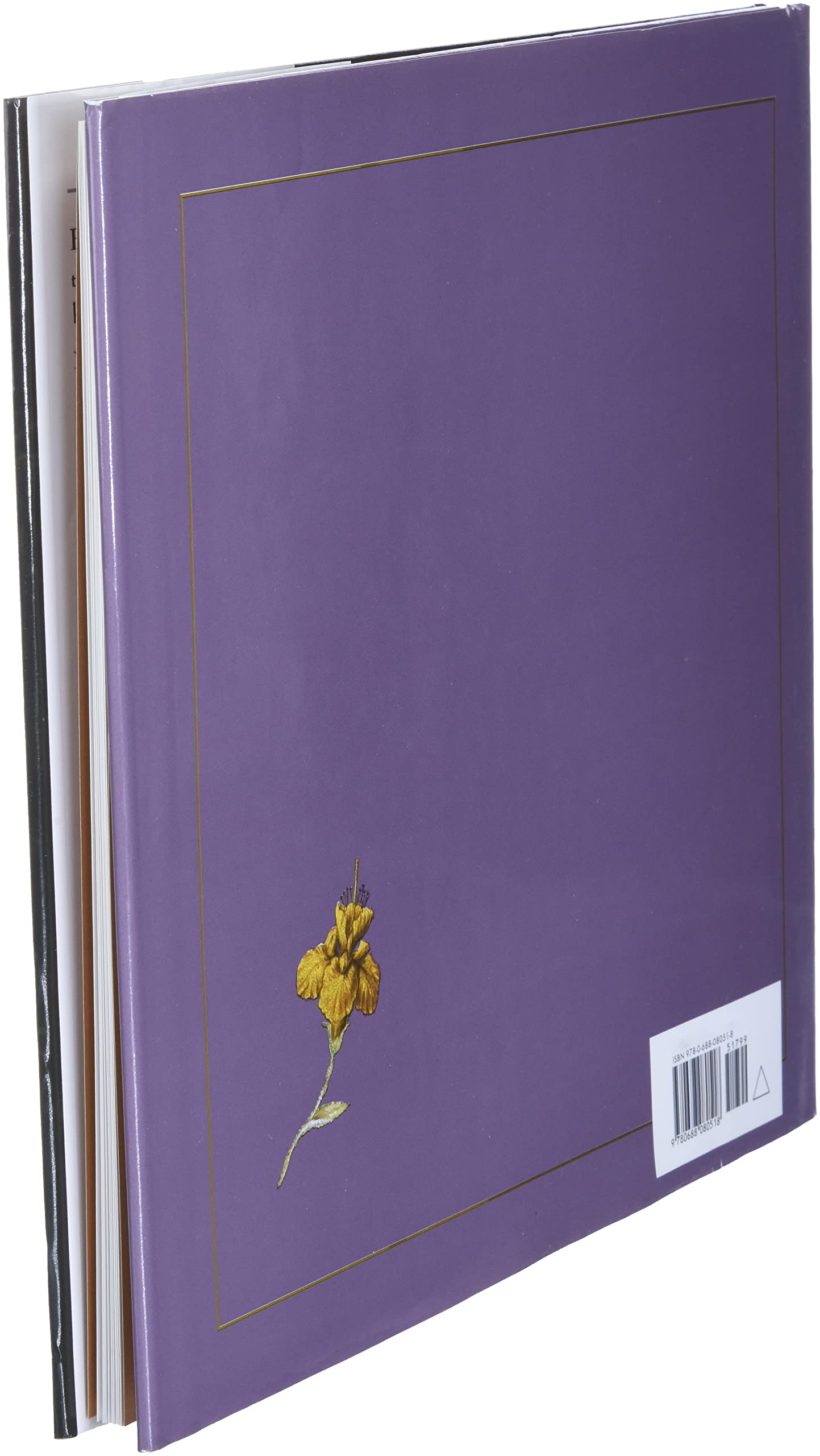 The Twelve Dancing Princesses - Image 4