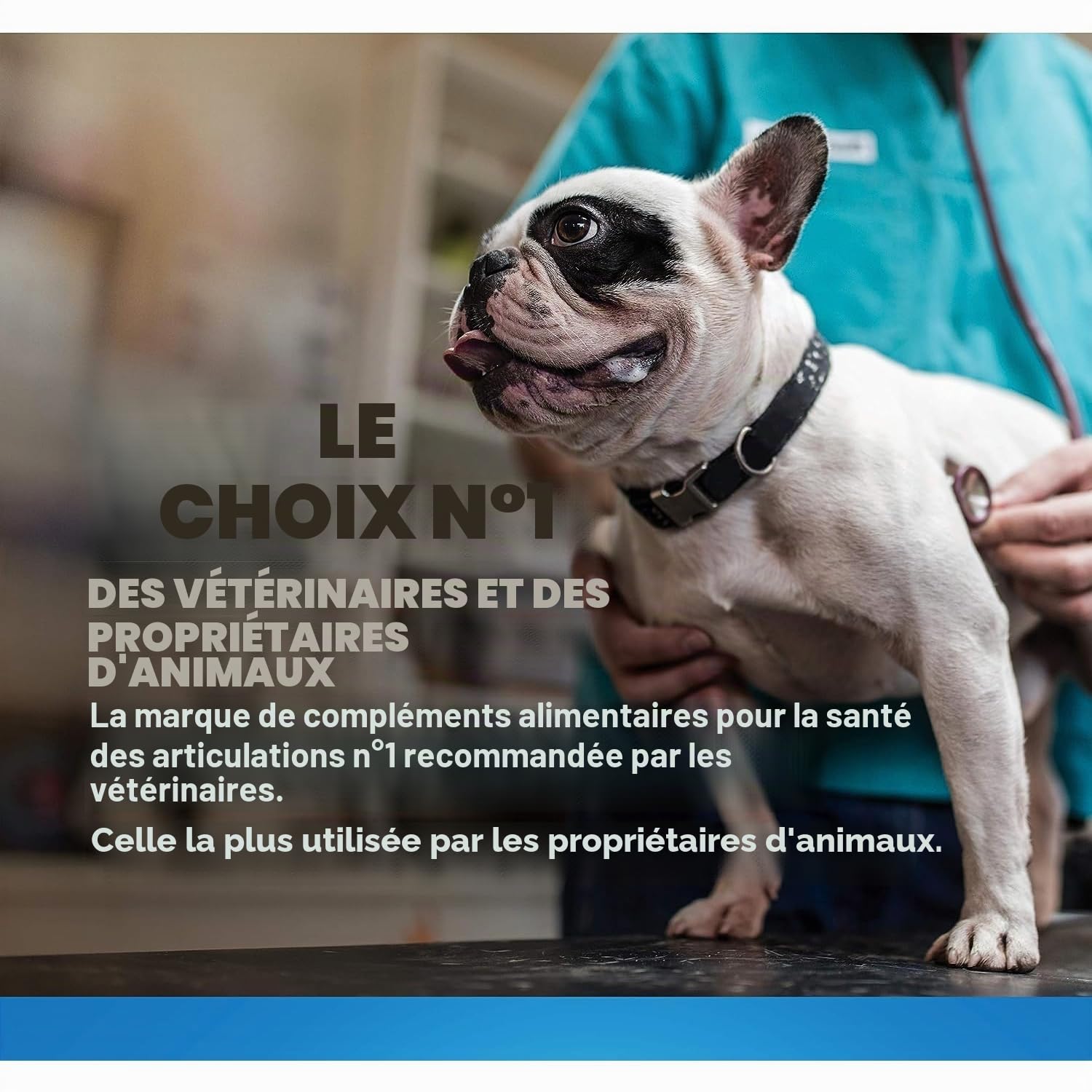 Cosequin DS Plus Msm commun Supplément santé pour Les Chiens 180 comprimés à croquer