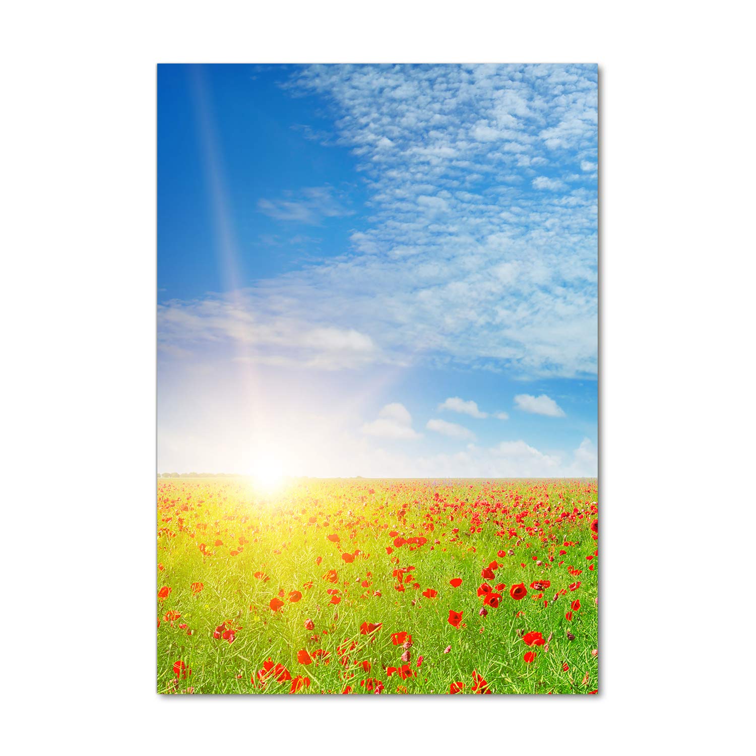 Impression sur Verre Acrylique Tulup 70x100 cm | Tableau Mural Champ de Coquelicots